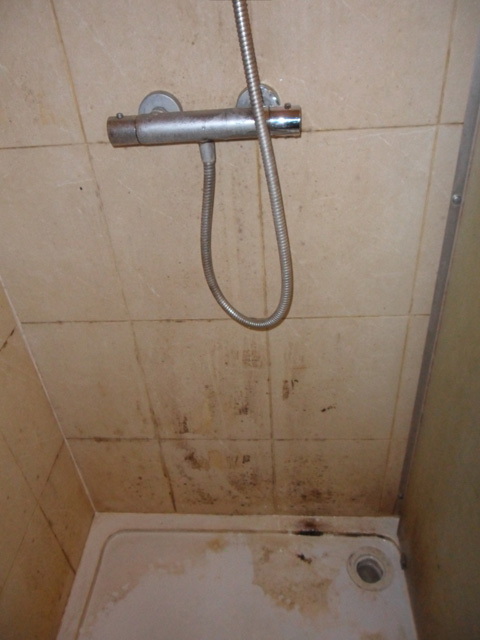 Cleaners to clean dirty bathrooms Cirencester